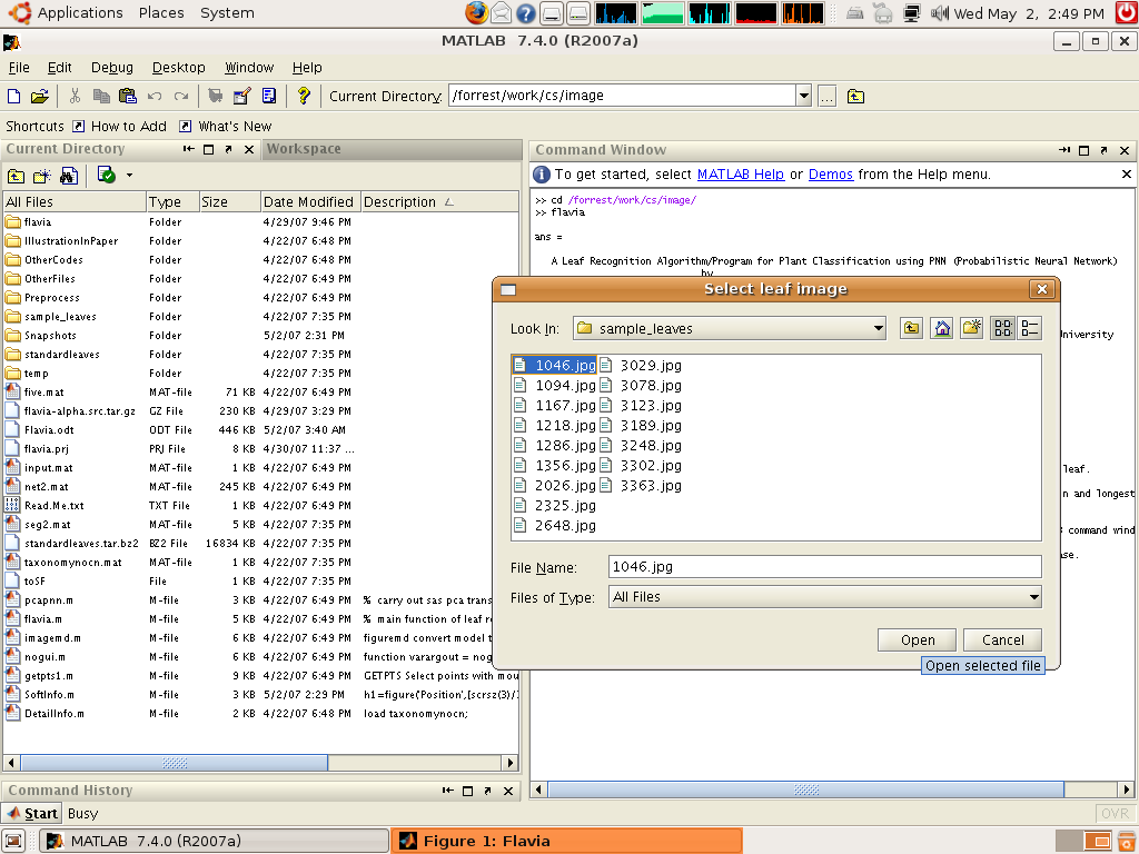 Flavia, A Leaf Recognition Algorithm for Plant Classification using PNN